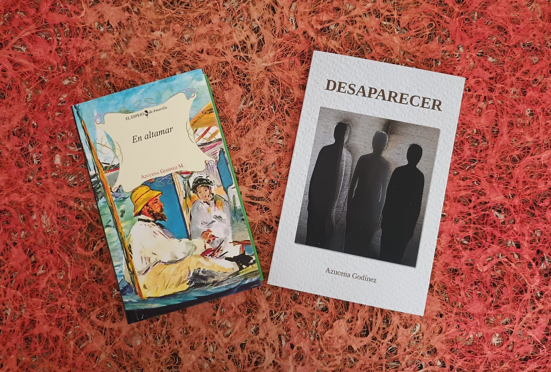 Libros publicados de Azucena Godínez: En altamar y Desaparecer